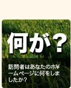 訪問者はあなたのホームページに何をしましたか？