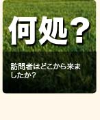 訪問者はどこから来ましたか？