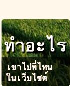 พฤติกรรมผู้เข้าชมเว็บไซต์